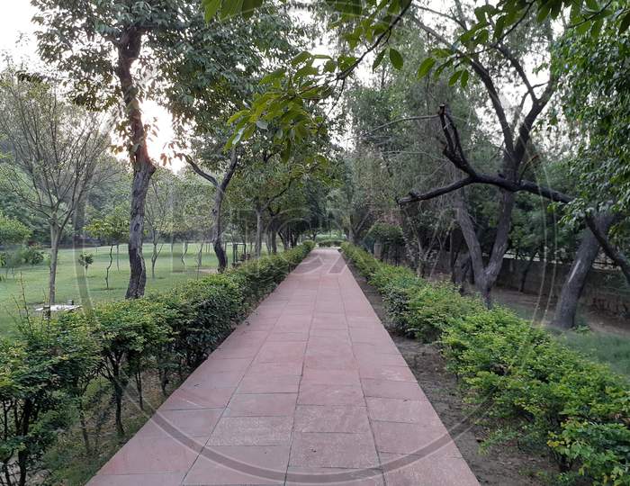 A Walking Path in a Park