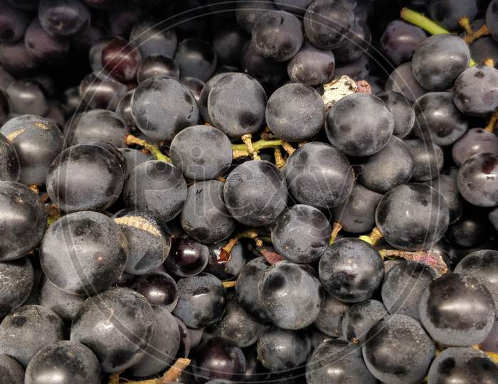 Close up shot of Black grapes