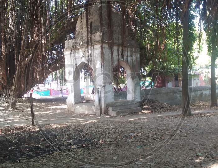 Old temple and natural