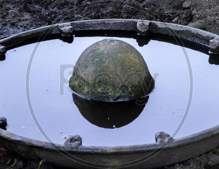 Animal Water Bowl