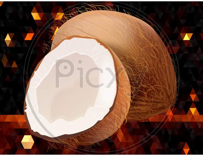 Realistic Coconut Fruit On Abstract Background