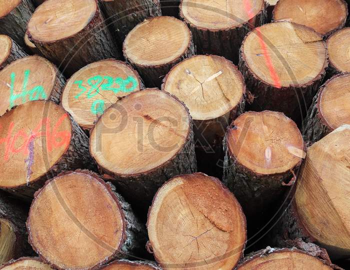 Detailed close up texture of stacked firewood with annual rings