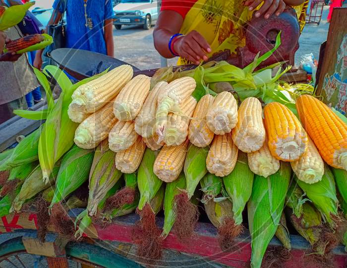 Raw fresh Sweet corns at a street vendor in Mysore.
