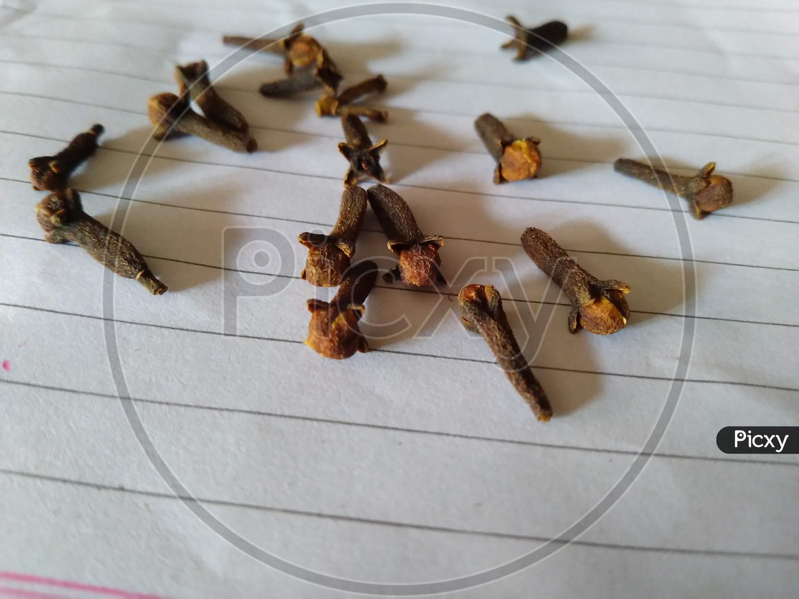 Close-up image of cloves on a book paper. Selectively focused