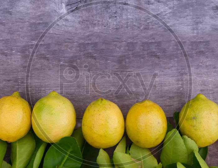 Decorative Border Of Fresh Lemons And Oranges From The Garden On Rustic Wood