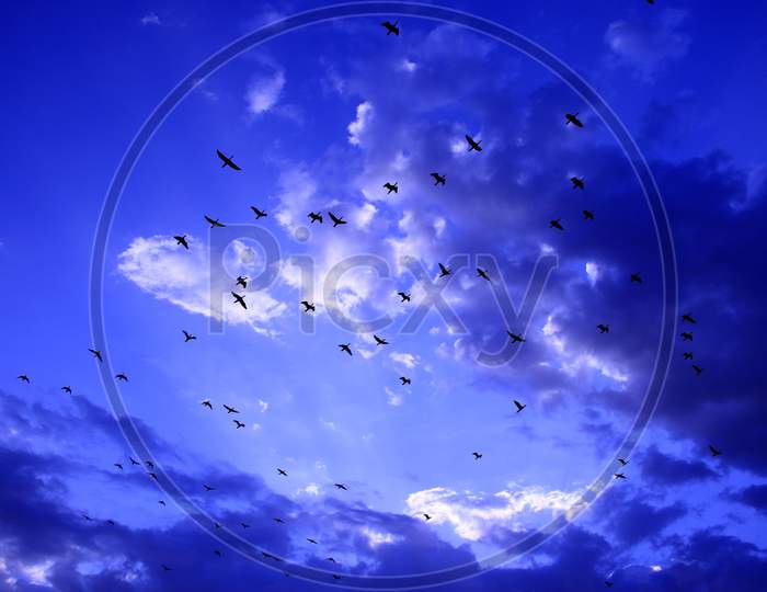 Birds Fly As Rain Clouds Are Seen In The Sky Over The Anasagar Lake In Ajmer, Rajasthan, India On 1 June 2020.