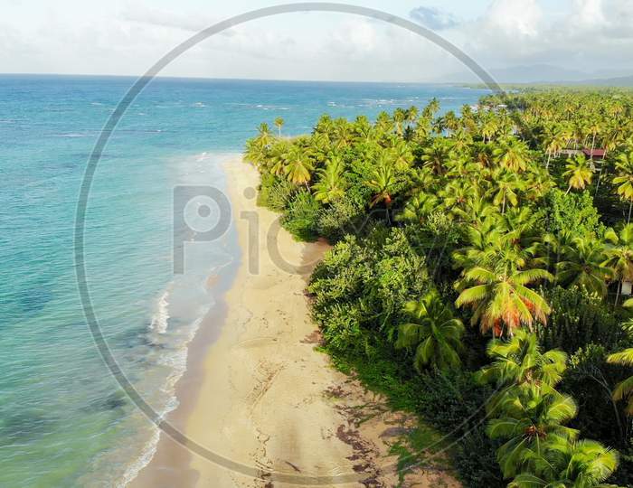 Beach With Lush Tropical Vegetation