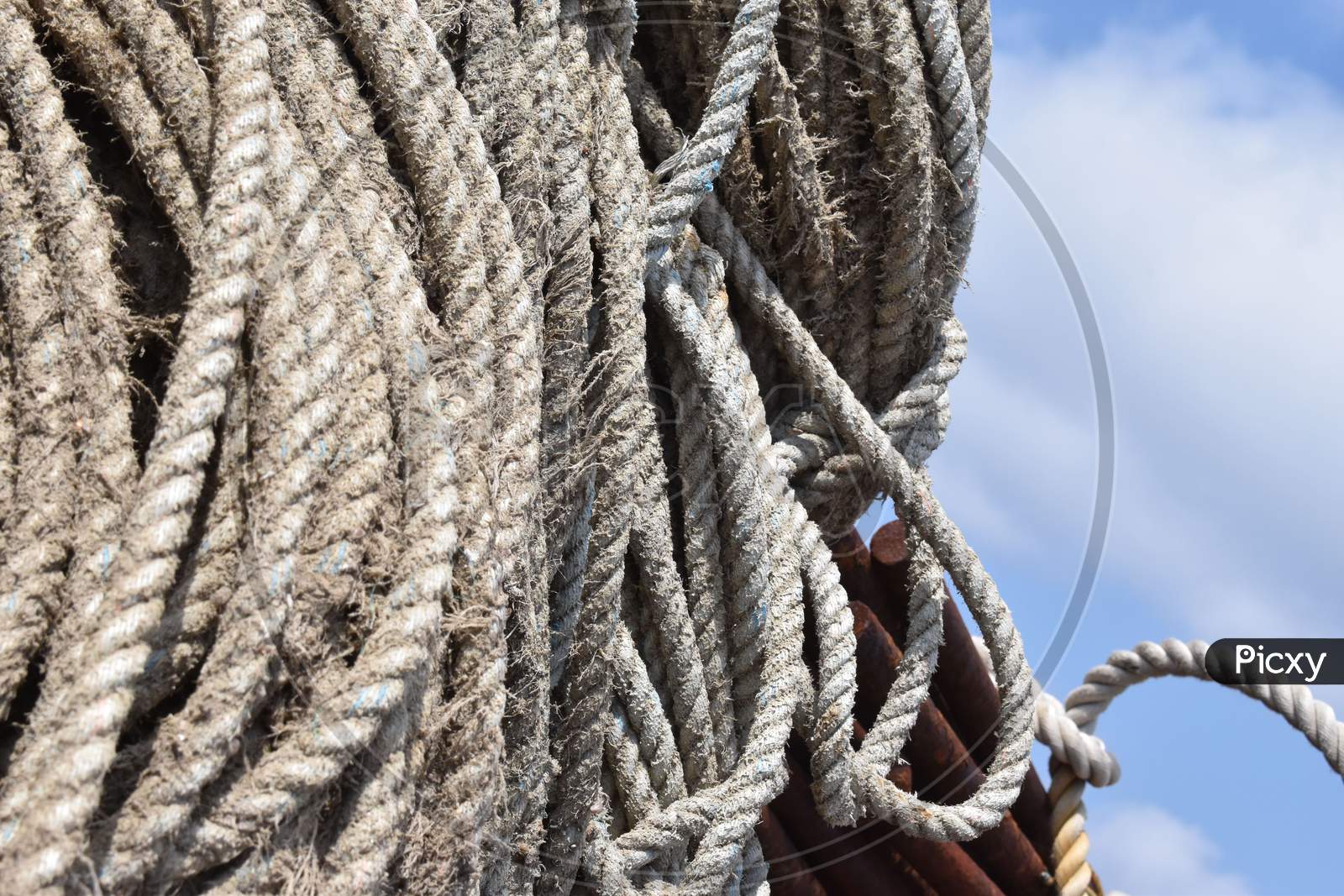 Fishing rope coiled under the sun