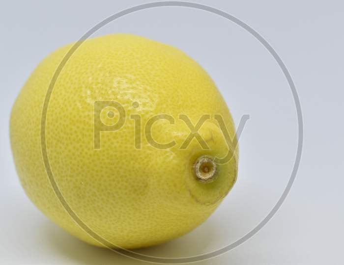 Lemon. One Whole Lemon Isolated On White Background