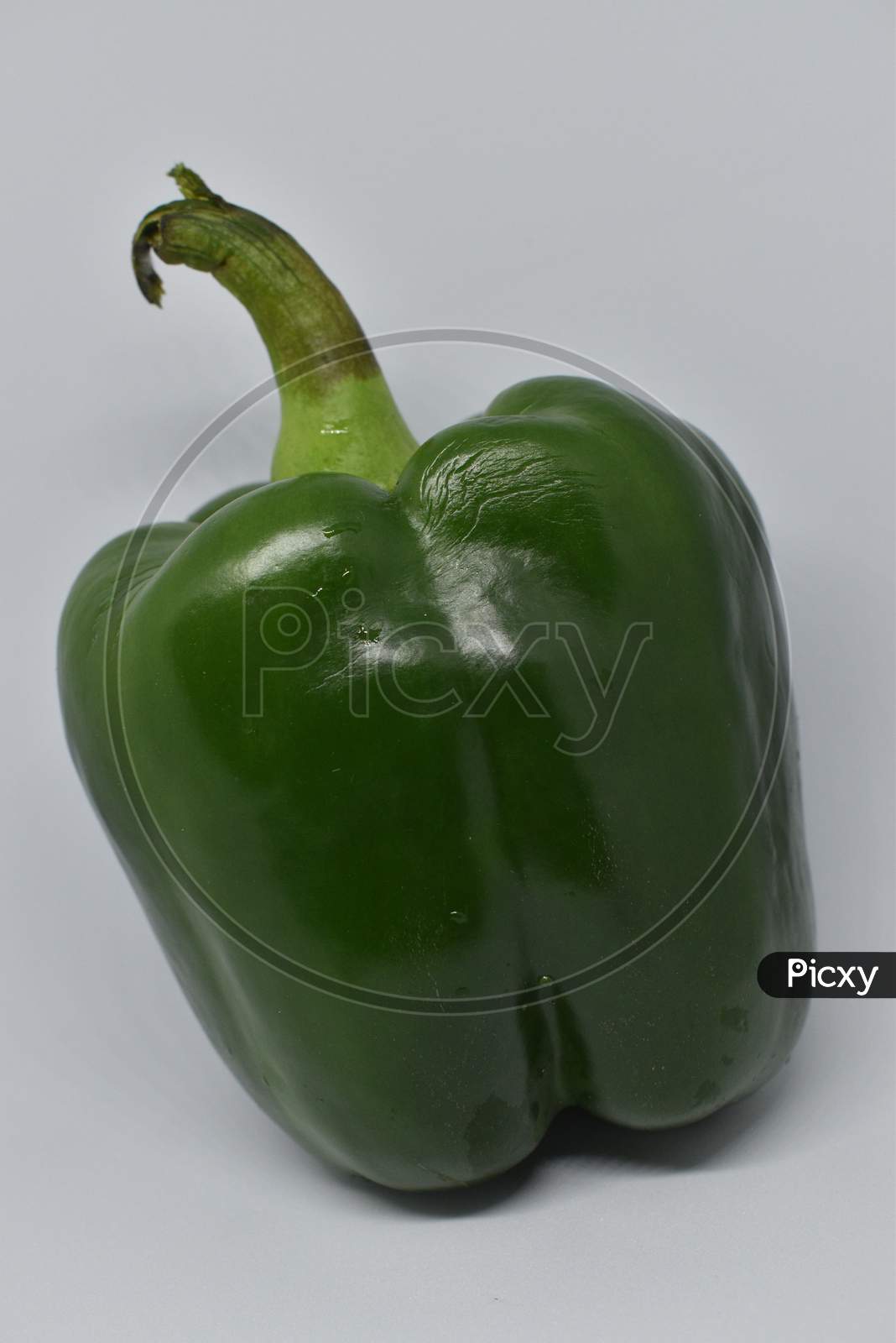 Green Bell Pepper On White Background.
