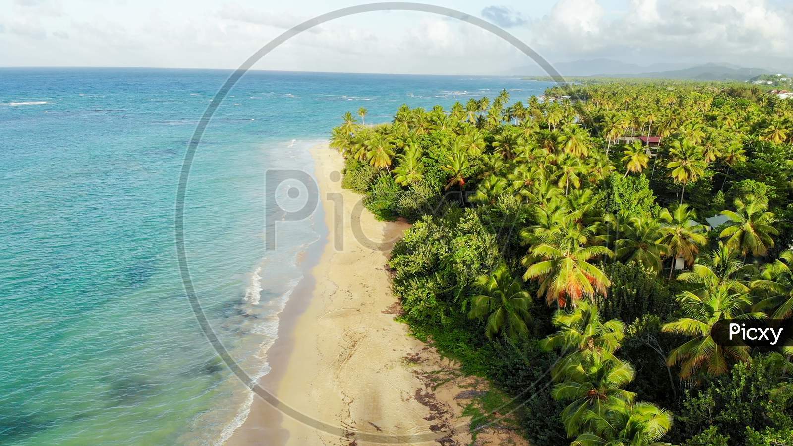 Beach With Lush Tropical Vegetation