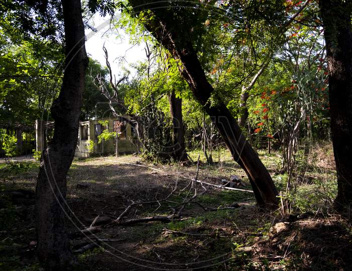 Pathway To An Abandoned Old House