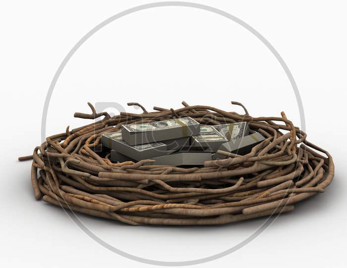 Currency Note In Bird Nest