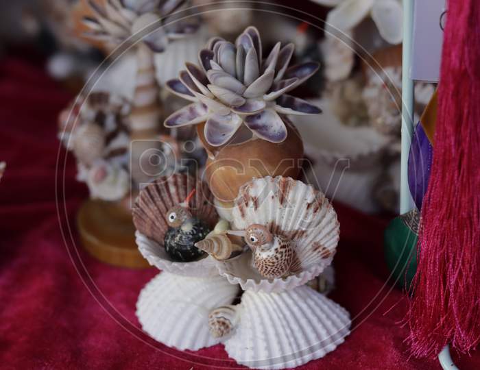Flower made of shells A wide variety of shells and small pebbles
