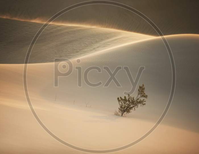 desert dunes in slow wind