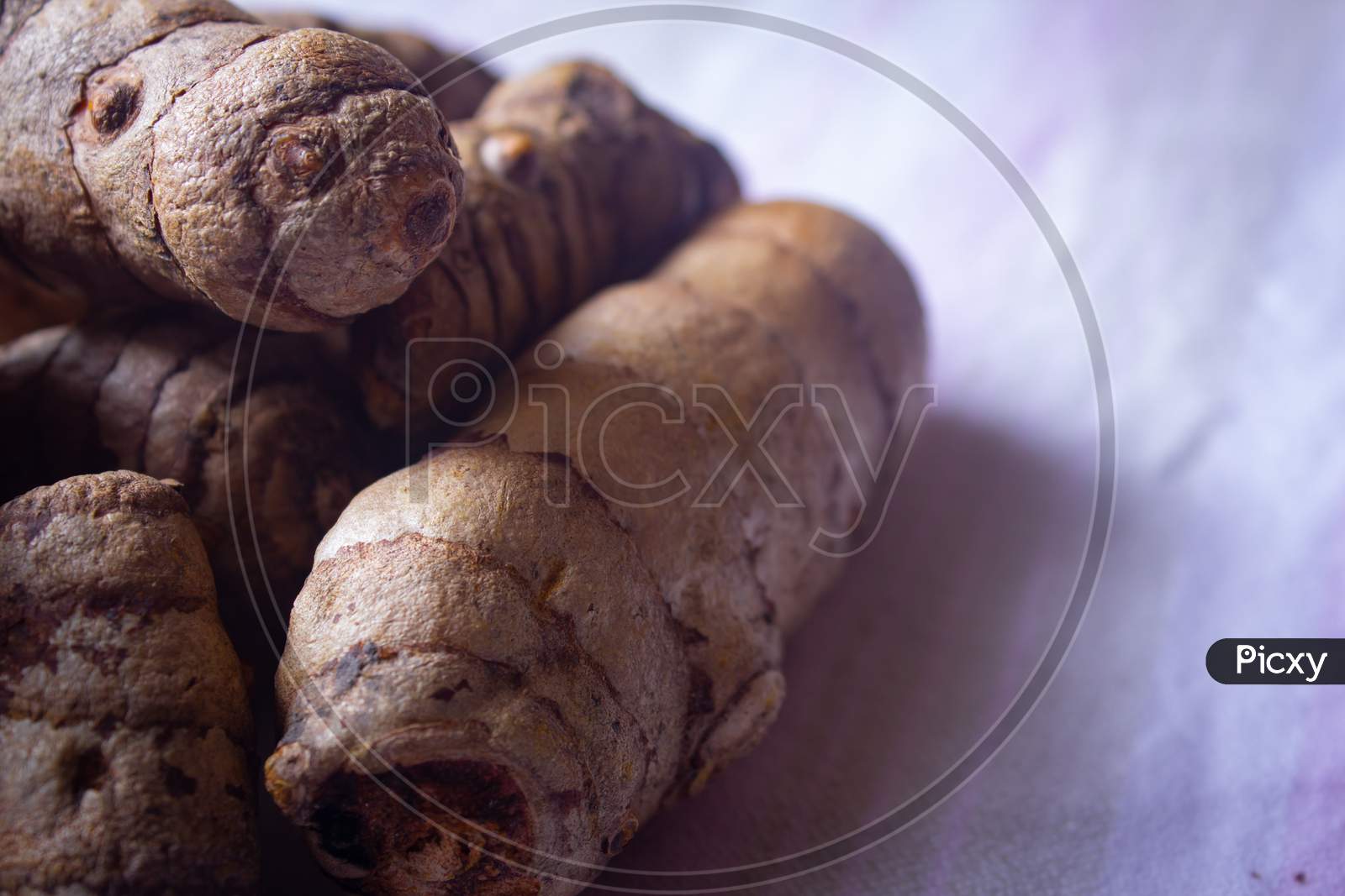 View Of Turmeric Roots (Also Known As Curcuma Longa)
