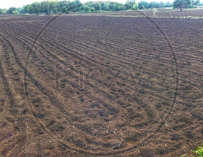 farm ground