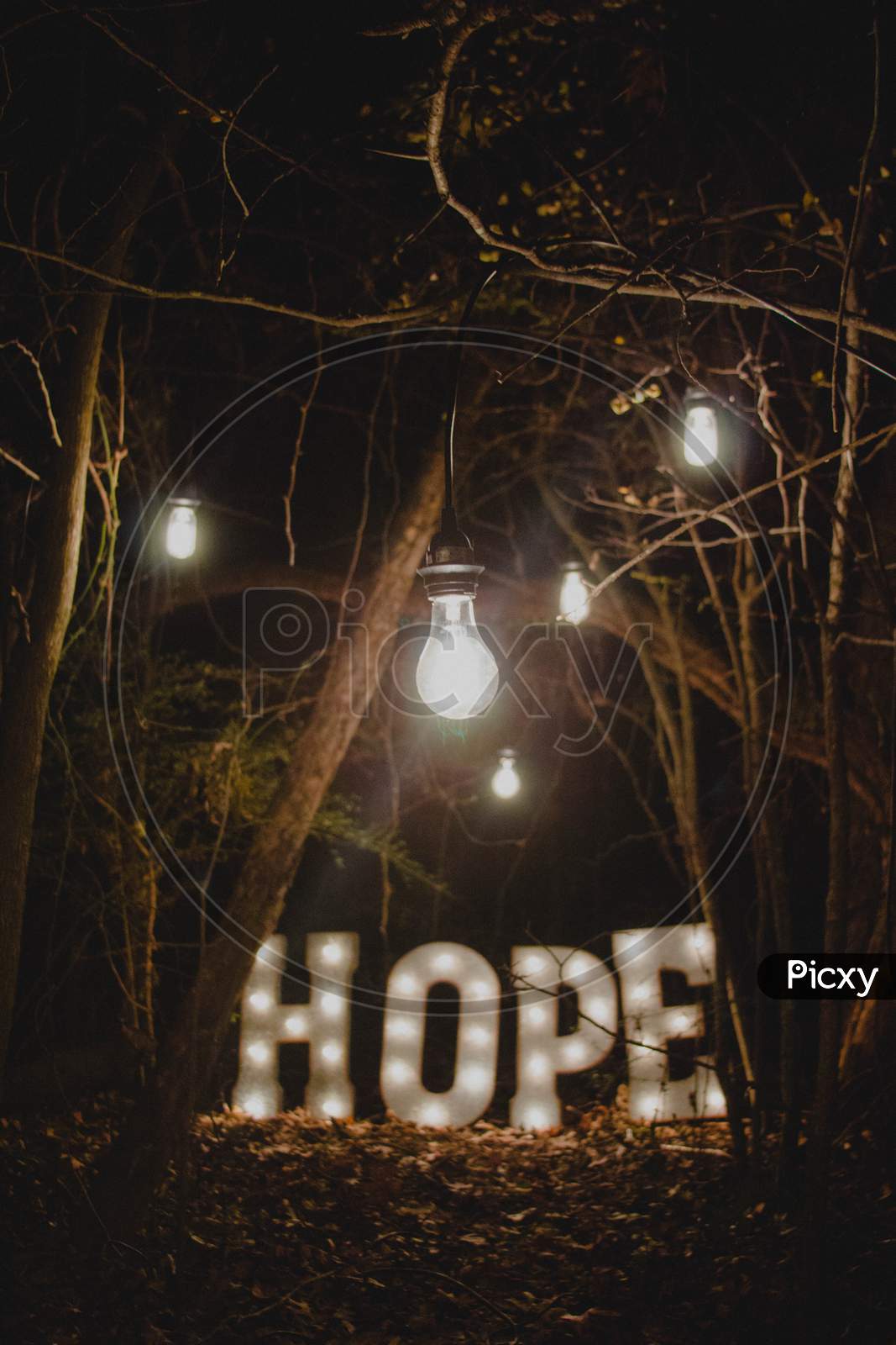 Hope word decorated with electric lights