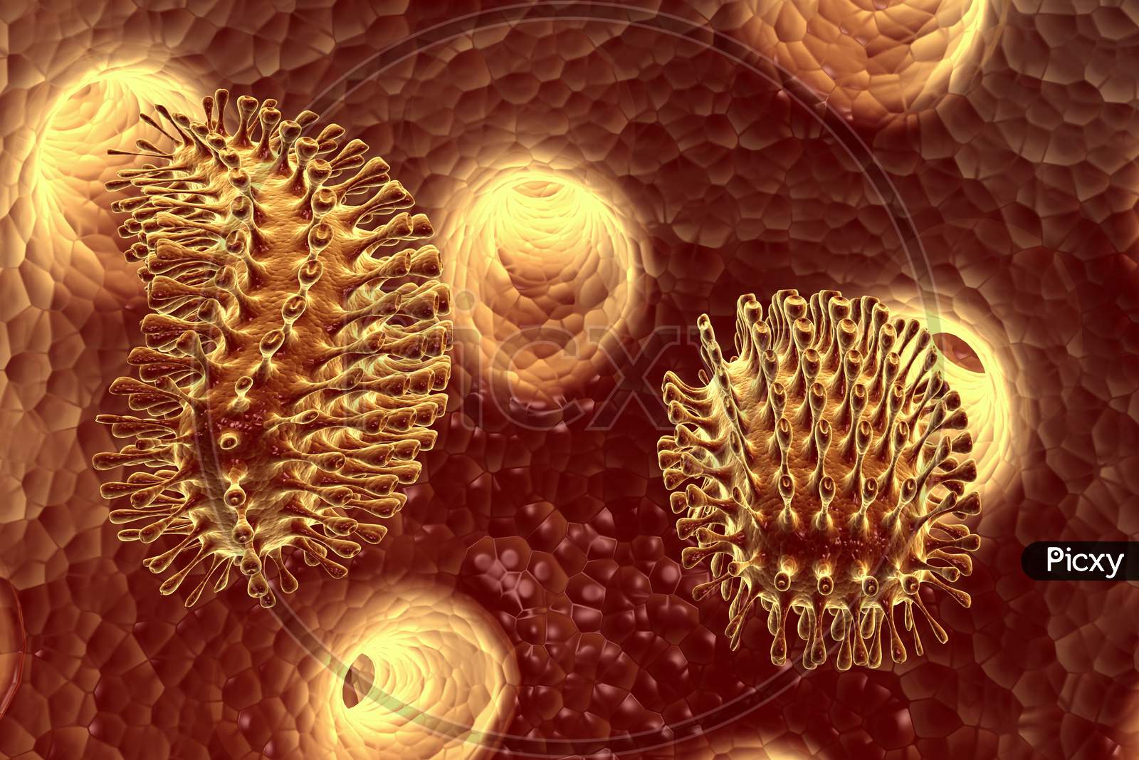 Digital Illustration Of Rabies Virus In Colour Background