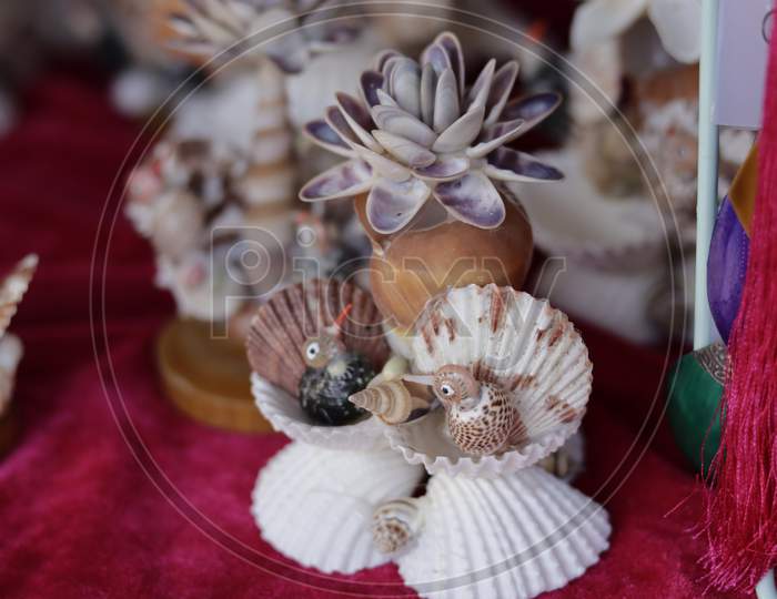 Flower made of shells A wide variety of shells and small pebbles
