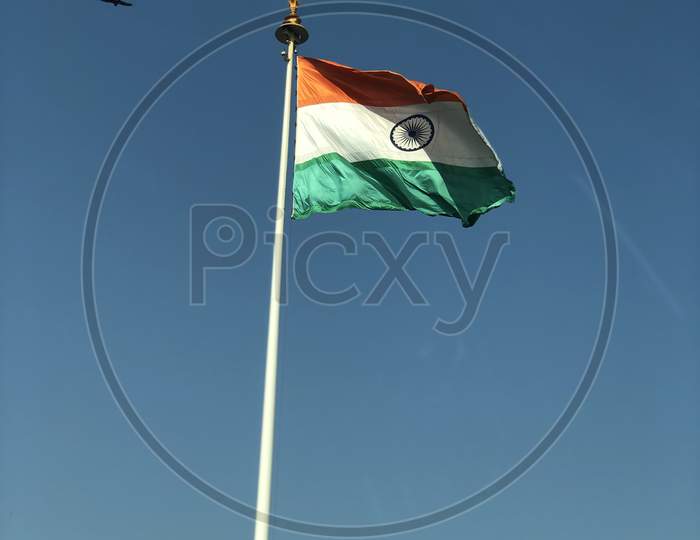 Indian Flag On The Pole