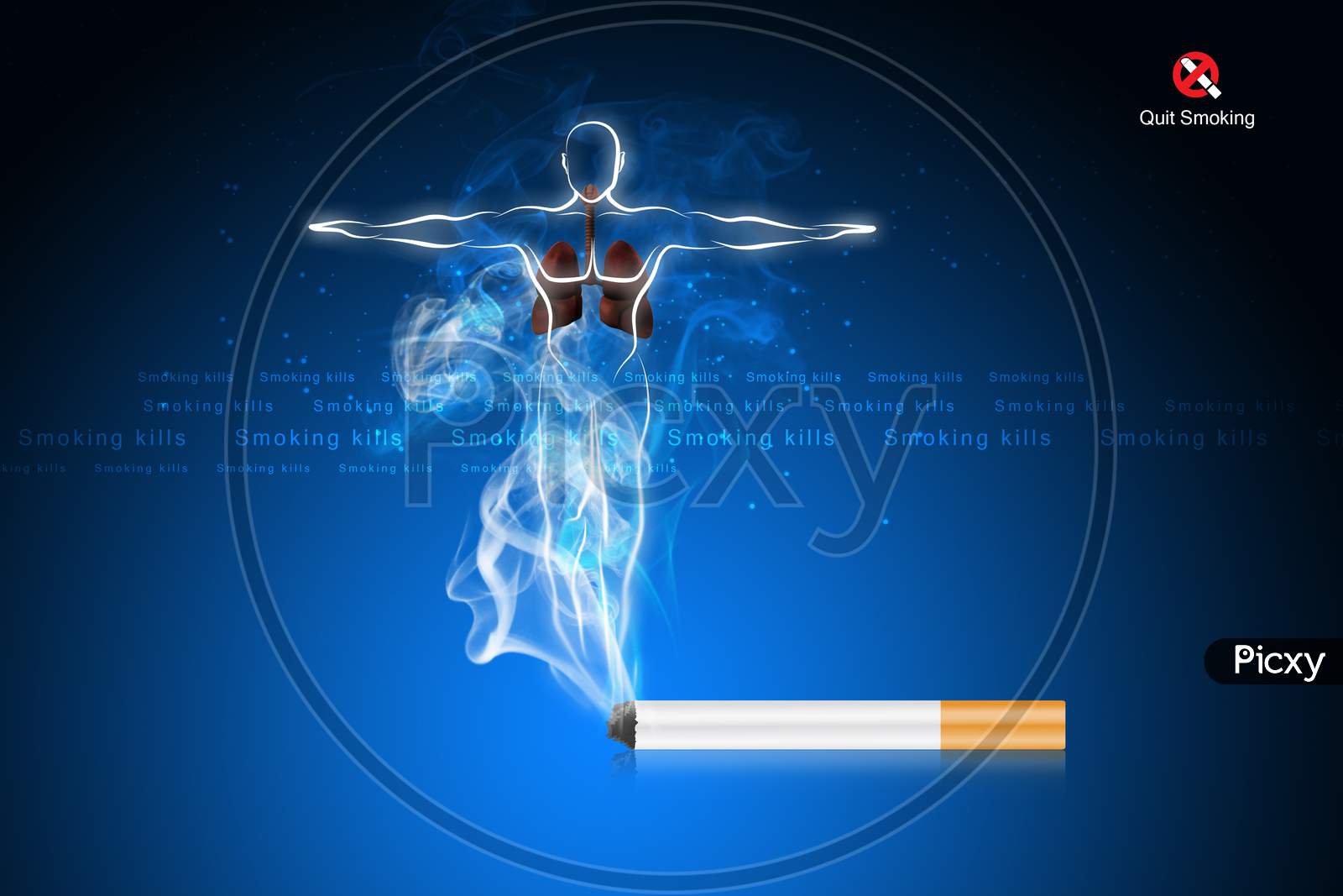 Smoking Kills Human Body