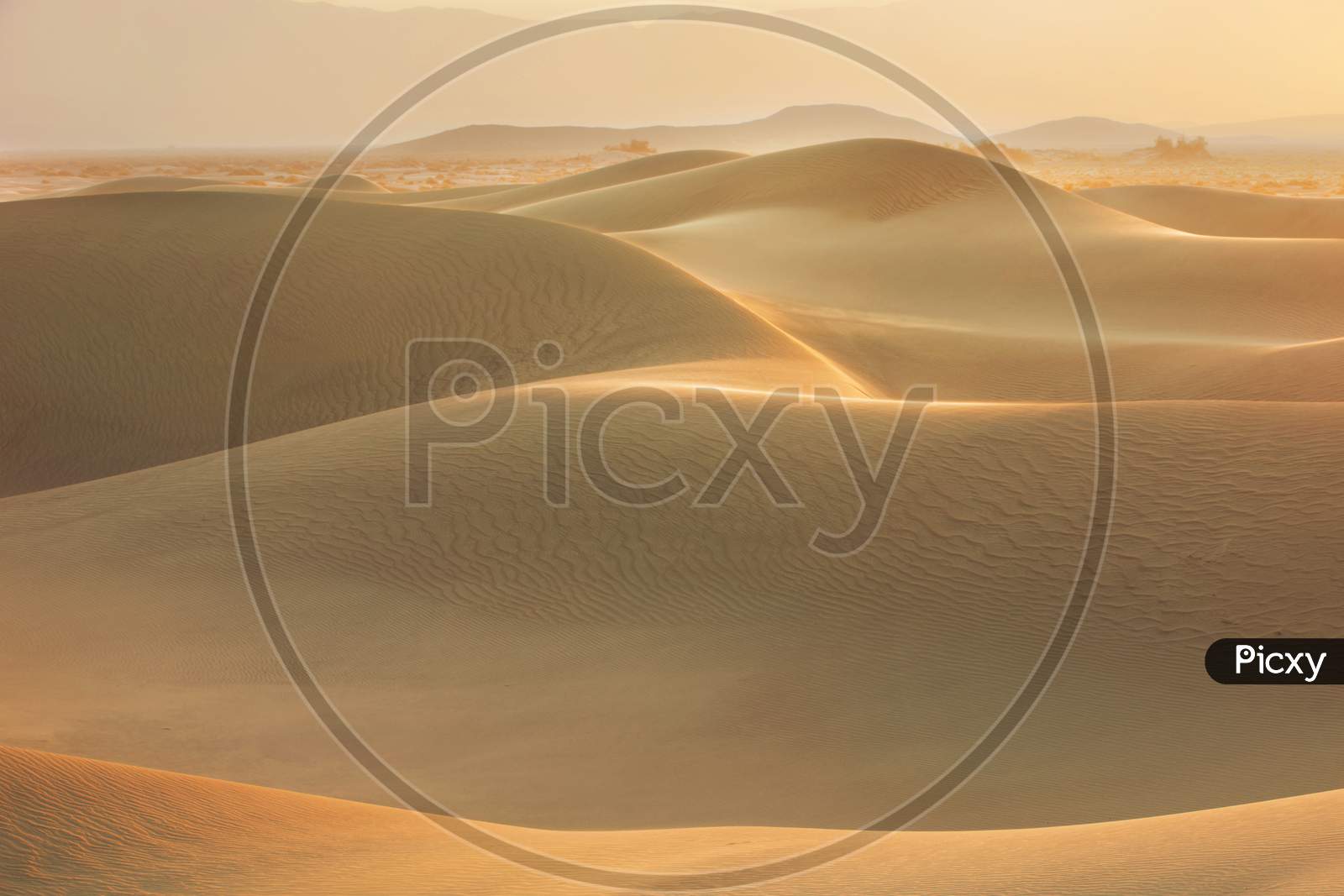 beautiful scene in the Sahara dunes