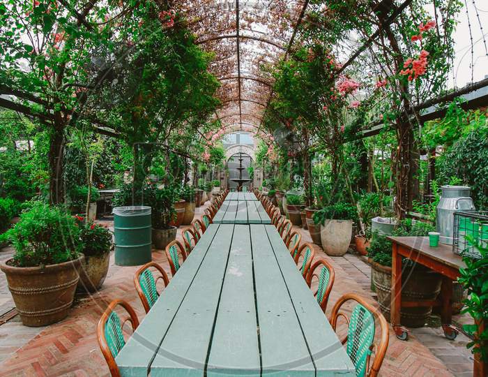 Beautiful table surrounded with greenery