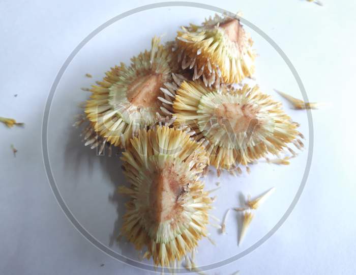 Dliced Neolamarckia cadamba fruits isolated on white background.