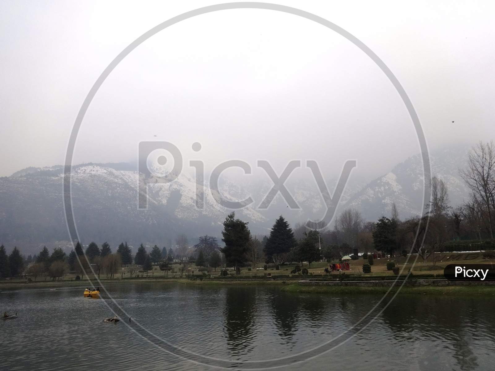 view of a lake in botanical garden, Srinagar