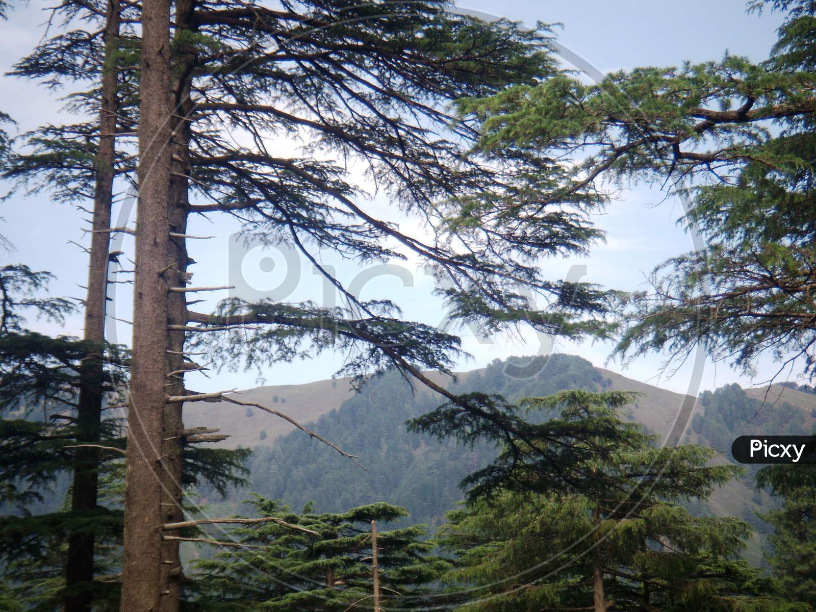view of the hills of Patnitop