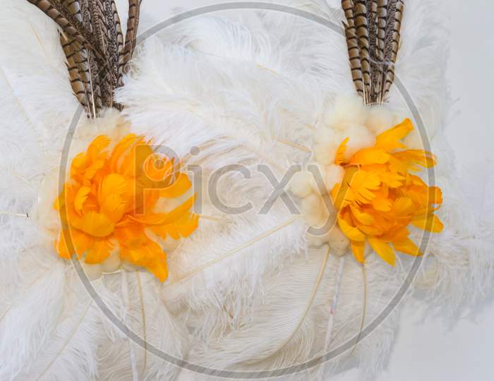 Back Of White And Yellow Feathers For Carnival