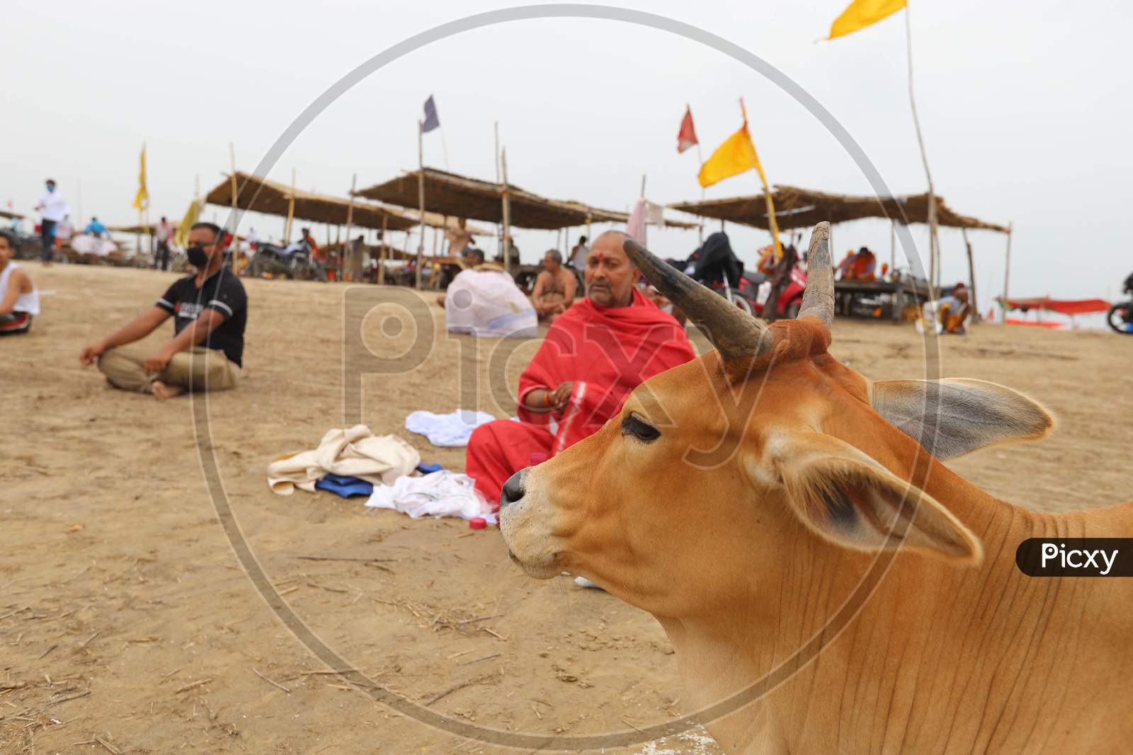 Hindu Devotees Pray To The Sun God At The Sangam, The Confluence Of Three Rivers Ganges, Yamuna And Saraswati, During An Annular Solar Eclipse In Prayagraj, June 21, 2020.