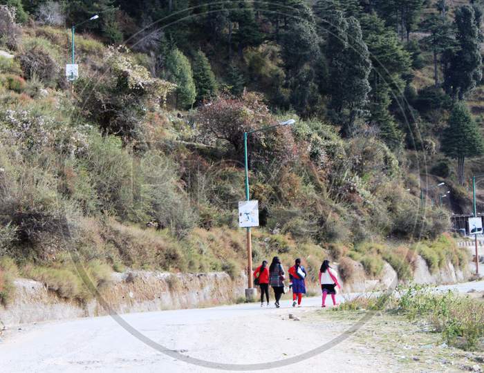 view of a group of female tourists taking a walk down the road in the hills of Patnitop