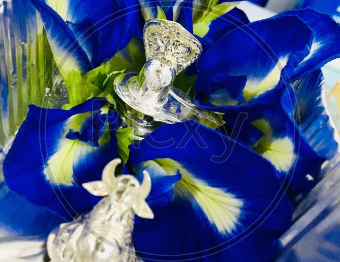 Lord Siva & Blue pea flowers