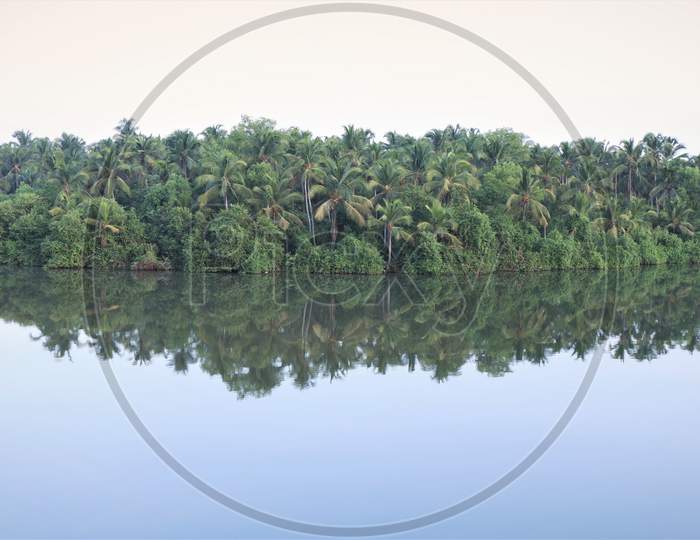 coconut tree Island in the Lake, Kerala,