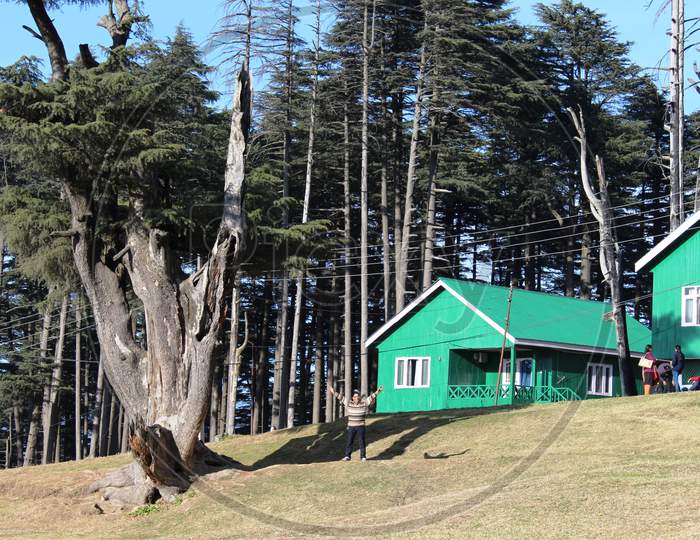 a view of the meadow of popular Indian hill station Patnitop
