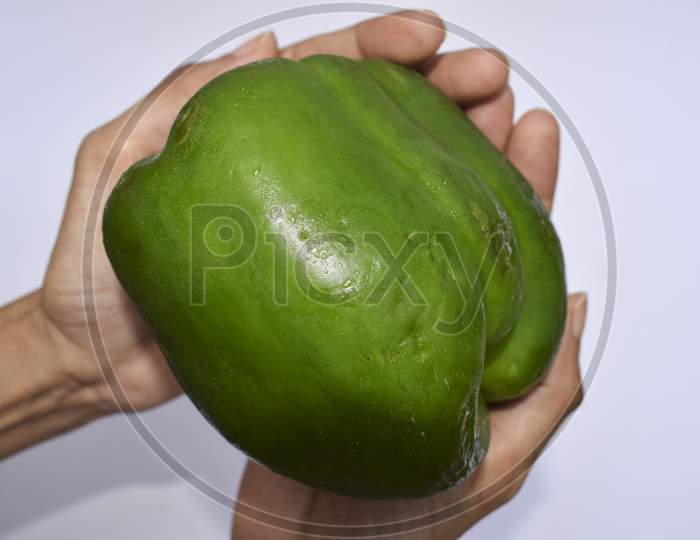 Big Green Capsicum Or Green Bell Pepper Close Up In Female Hand. Fresh Big Fruit Vegetable From India, Asia