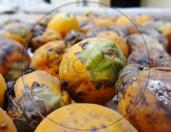 Dry Fruit closeup Photography