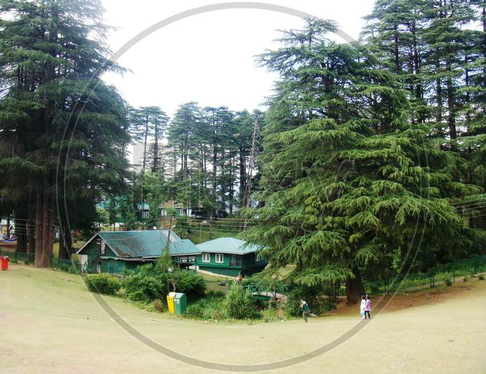 a view of the meadow of popular Indian hill station Patnitop
