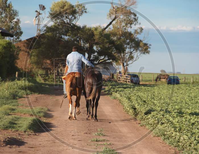 Man On Horseback In The Argentinian Countryside