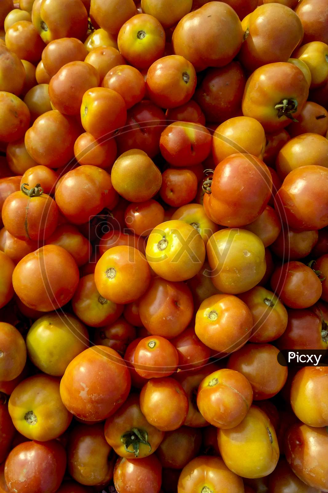 Stock Of Tomato In Market
