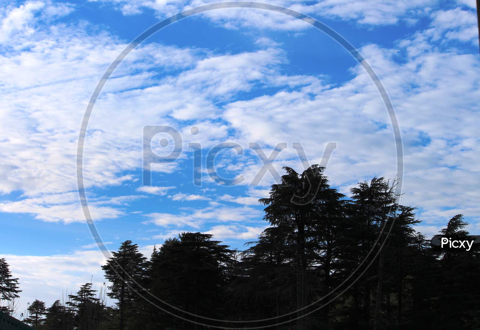 a beautiful view of the hills and blue sky in popular hill station Patnitop
