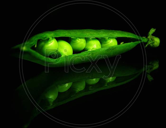 Green peas in pod with black background