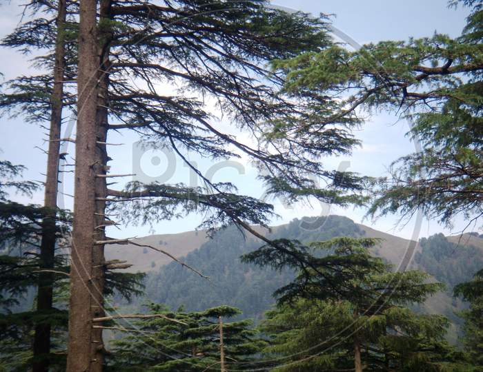 view of the hills of Patnitop