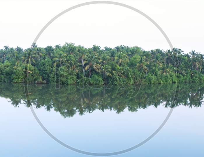 coconut tree Island in the Lake, Kerala,
