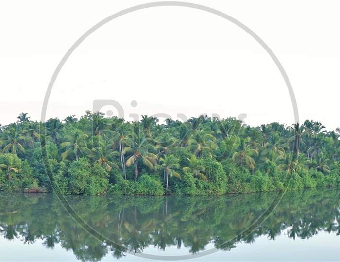 panoramic view of coconut tree Island in the river , Kerala,