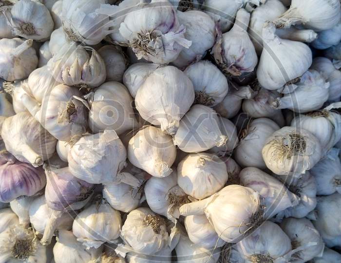 Garlic For Sale In Market