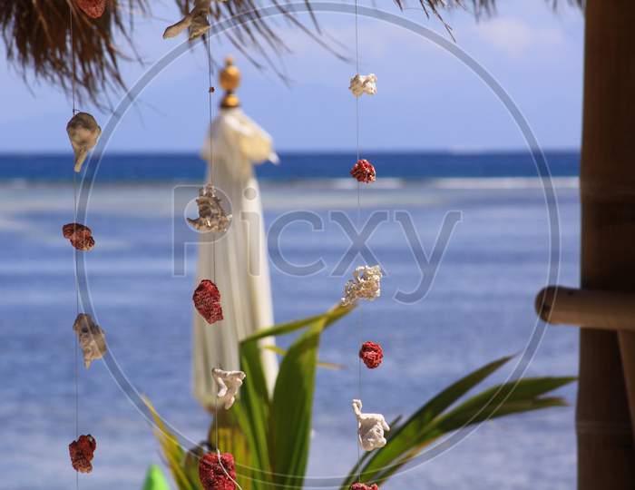 Coral Pieces Hanging On Wire At Tropical Beach Bar