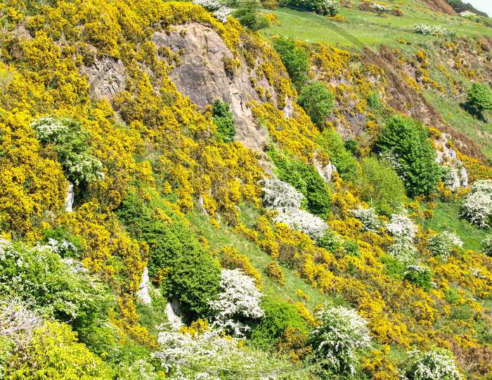 Belfast Cave Hill Landscape